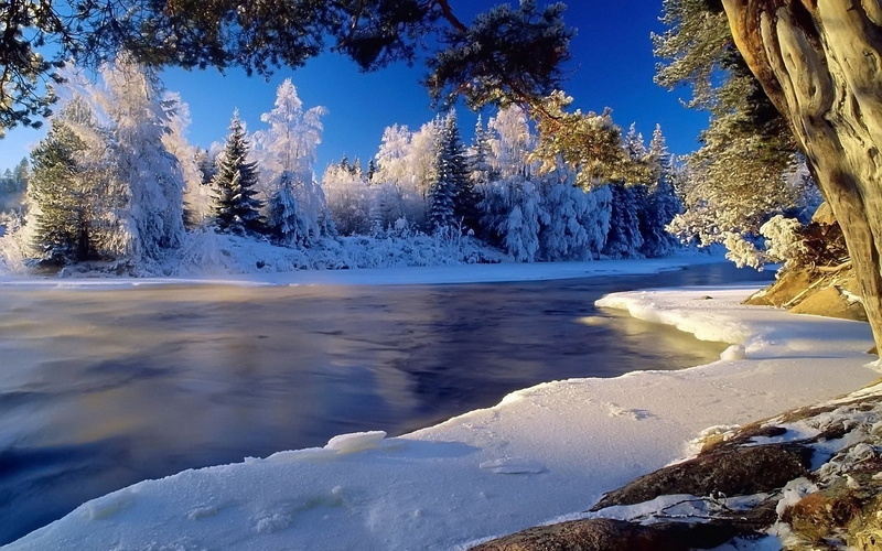 snowcapped mountain, national Landmark, cold, day, lake, alberta, canada, 1080P, landscape, tranquility, uSA, beauty In Nature, coniferous tree, scenics - nature