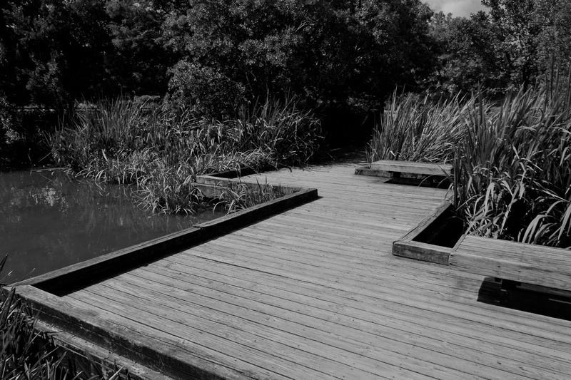 leaf, architect, trees, outdoors, absence, wood, ingenious, walkway, scene, water, 4K, tree, river walkway, footpath, tranquility, lake, pattern, scenery