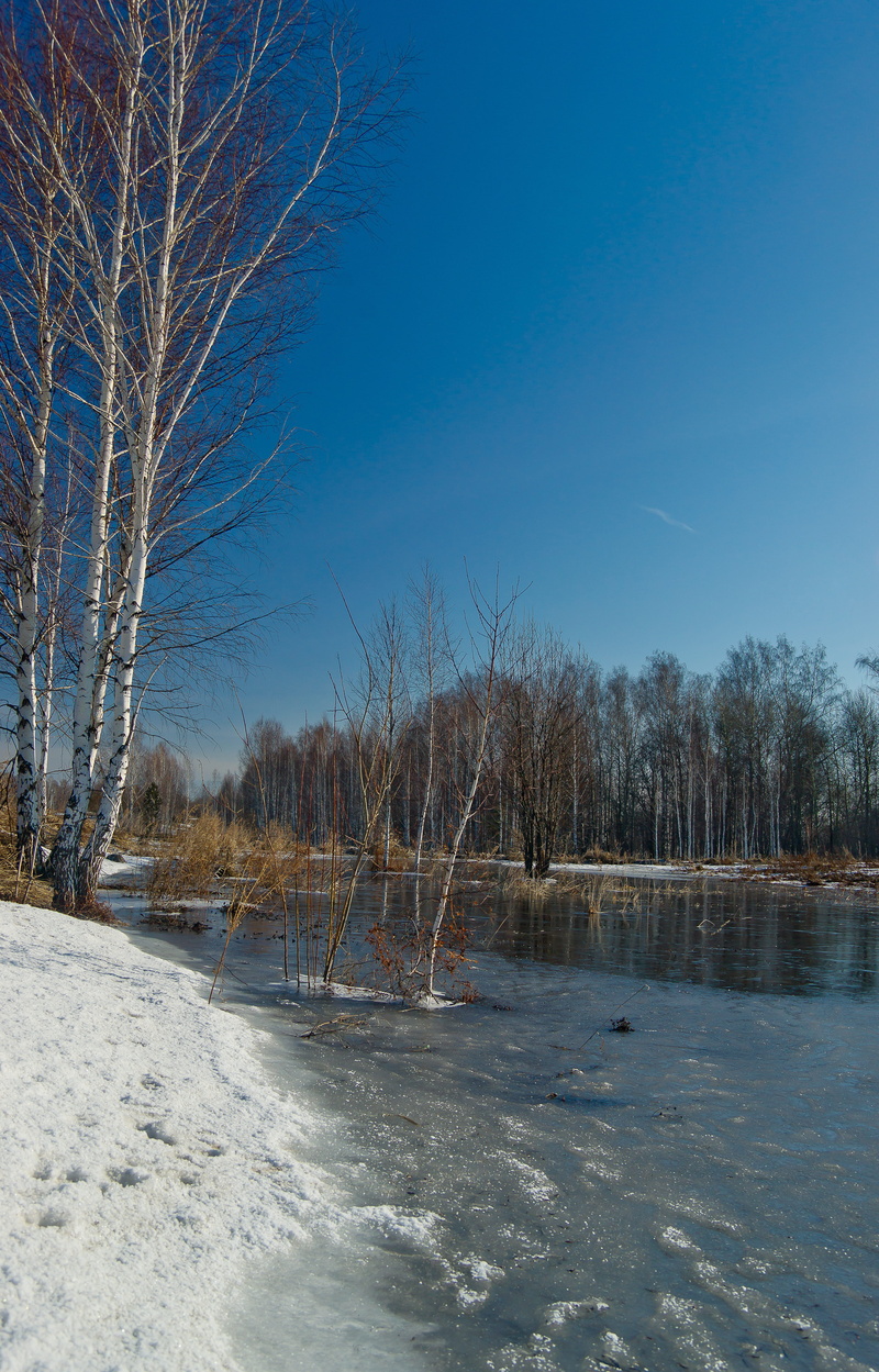 sky, cold, nature, siberia, 5K, landscape, land, view, non-urban scene, tree, tranquil scene, blue, scenics - nature, beauty in nature, cold temperature