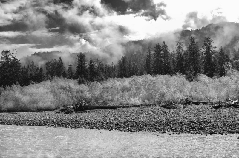 beauty in nature, hoh river, tranquility, river, sky, non-urban scene, environment, tree, water, tranquil scene, plant, washington, cloud - sky, lake, outdoors