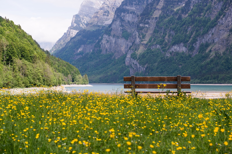 non-urban scene, boat, lake, environment, flowering plant, swiss, springtime, mountain, eat, holiday, tranquility, yellow, mountain range, nature, beauty in nature