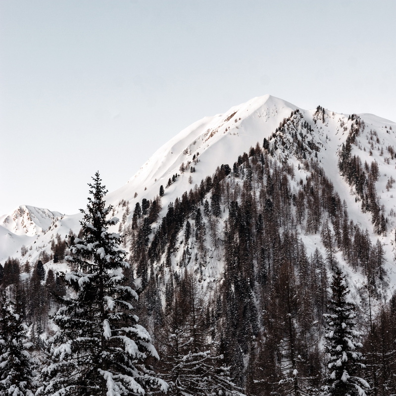 covered, near, no people, non-urban scene, summit, cold temperature, plant, tranquility, tranquil scene, winter, pine tree, nature, scenics - nature, environment