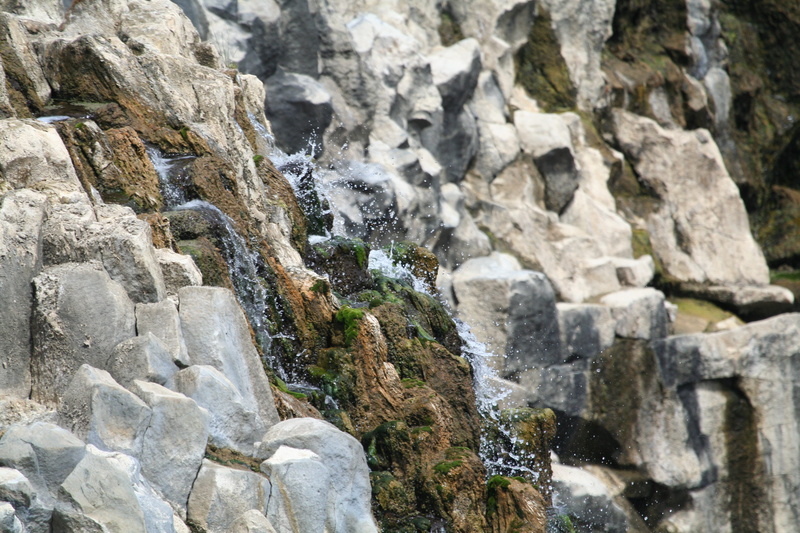 australia, wangoom, day, hopkins, textured, water, rock formation, nature, rock - object, flowing water, beauty in nature, falls, flowing, moss, solid