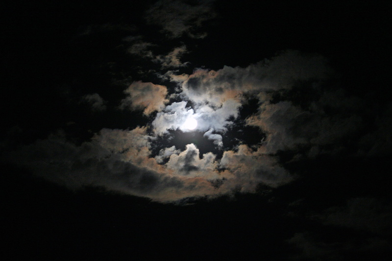majestic, outdoors, scenics - nature, sky, full length, night, moon, 2K, cloud - sky, cover, photography, nighttime, full moon, low angle view, dark, time