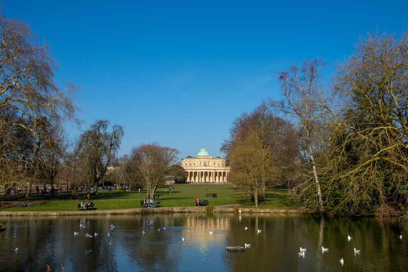 nature, day, united kingdom, 5K, body, waterfront, person, animal, plant, history, tourism, architecture, pond, reflection, grass, tree, cheltenham, outdoors