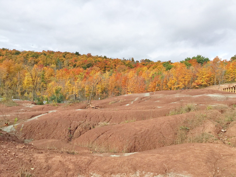 2K, road, beauty in nature, cheltenham badlands, autumn, environment, sky, plant, dirt road, canada, growth, landscape, wilderness, ontario, grassland