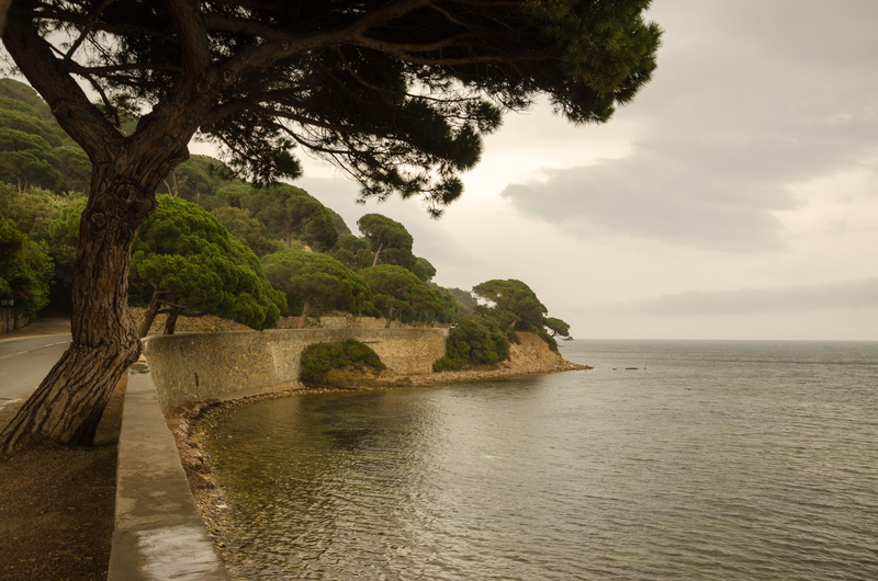 france, no people, 4K, tranquil scene, cote dazur, trees, cloud - sky, beach, idyllic, away, non-urban scene, outdoors, horizon, scenics - nature, plant