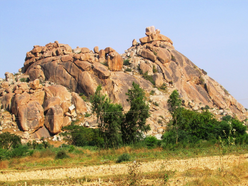bright, Stones, Rocks, eroded, tranquil scene, flora, environment, trees, physical geography, scenics - nature, rock, rock formation, plant, textures, formation