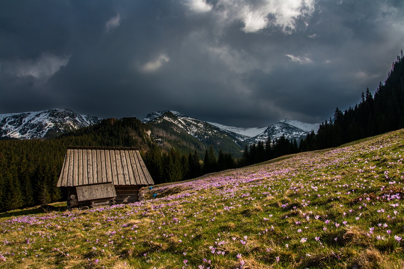 mountain range, environment, storm cloud, 4K, architecture, alps, landscape, scenics - nature, wooden, cloud - sky, hut, hike, built structure, hillside