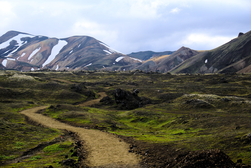 mountain peak, tranquility, mountain range, countryside, landmannalaugar, land, non-urban scene, direction, idyllic, pathway, animal, plateau, no people