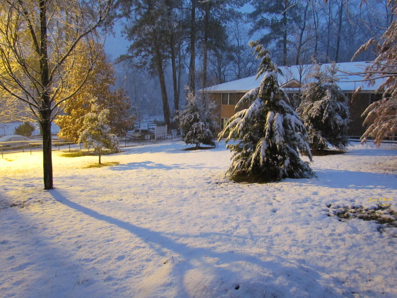 outdoors, christmas card, snowmageddon 2017, rare snow in the south, winter, tree, field, day, landscape, land, tranquil scene, covering, environment, white color
