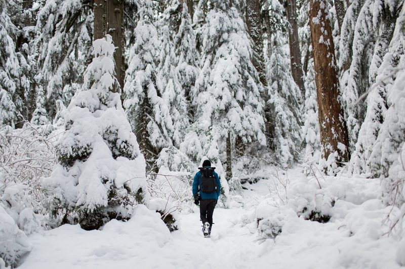 warm clothing, day, 5K, photo, extreme weather, winter, lifestyles, pacific nw, surrounded, person, leisure activity, man, one person, real people, hike