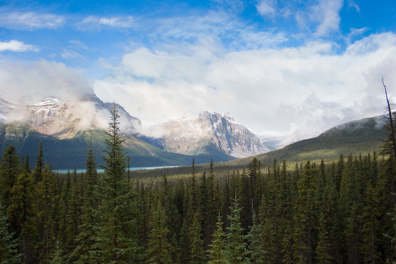 tranquil scene, land, tree, no people, pine tree, coniferous tree, trees, mountains, environment, sky, mountain, tranquility, forest, plant, icefields