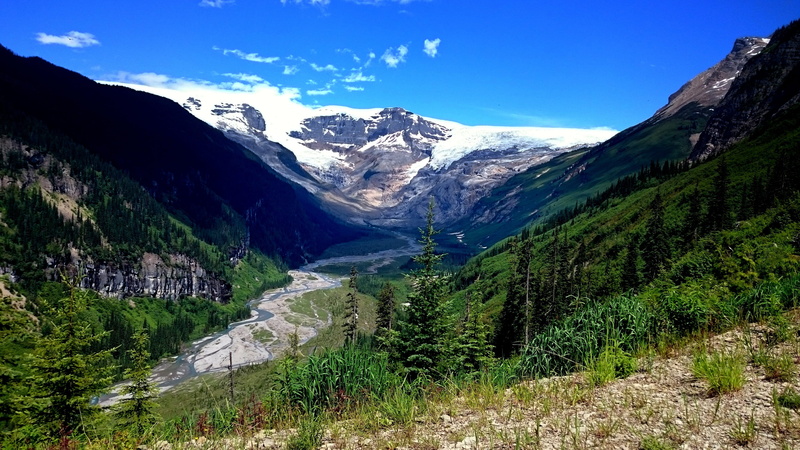 tranquility, coniferous tree, cold temperature, tree, travel destinations, glacier, beauty in nature, snowcapped mountain, snow, scenic, columbia icefields