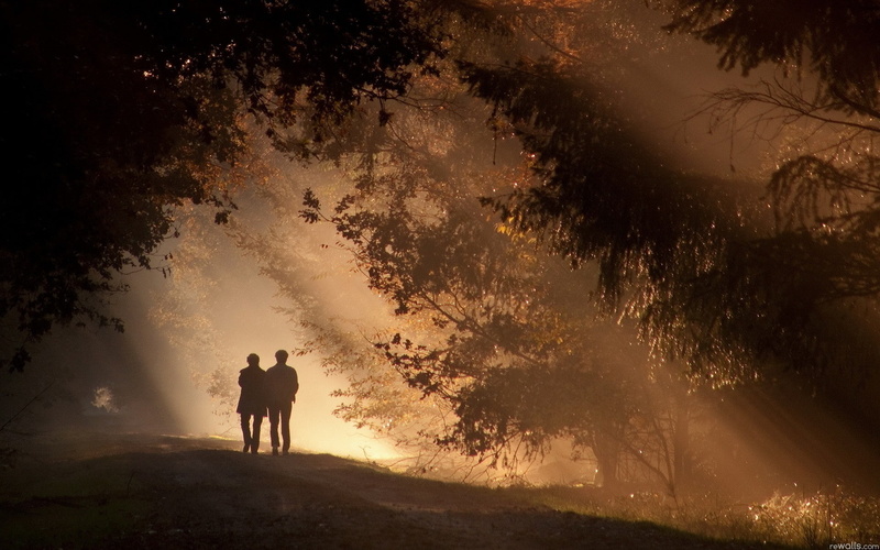 1080P, sunlight, trees, mood, love, romance, forest, shadows, couple