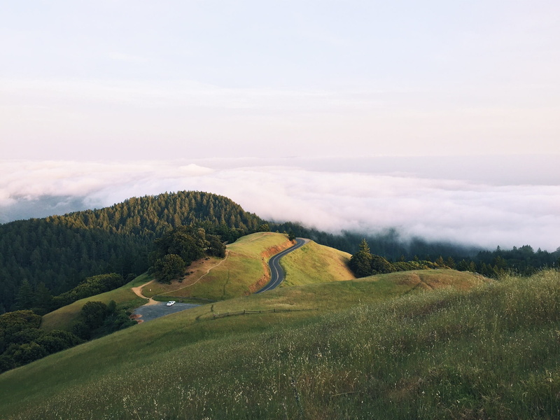 asphalt, outdoors, mountains, covered, rural Scene, clouds, coniferous tree, winding road, landscape, beauty In Nature, nature, white clouds, tranquil scene