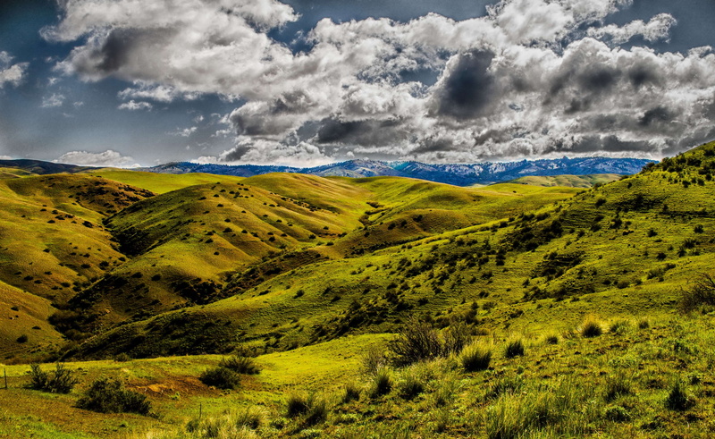 green color, no people, tranquility, plant, land, valley, plain, grass, outdoors, beauty in nature, environment, tranquil scene, scenics - nature, 4K