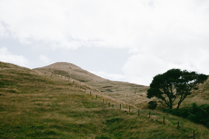 environment, cloud - sky, kawhia road, nature, outdoors, non-urban scene, scenics - nature, tranquil scene, sky, green color, rural, grass, road trip, tranquility