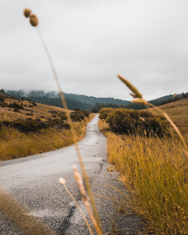 4K, direction, land, road, sky, tranquility, winding road, concrete, no people, scenics - nature, along, tranquil scene, landscape, non-urban scene, transportation