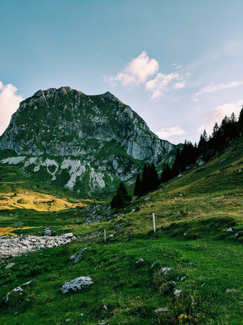 scenics - nature, sky, unnamed road, grass, 4K, grassland, hillside, outdoors, hut, field, green color, forest, environment, mountain peak, no people