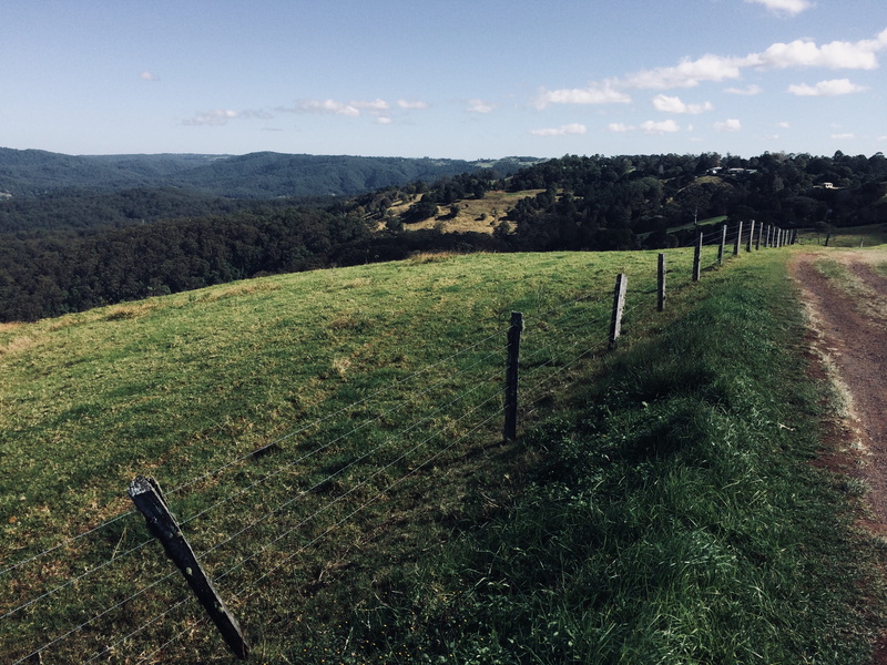 wire fence, mountains, tranquility, land, green color, fence post, nature, maleny, barrier, non-urban scene, scenics - nature, no people