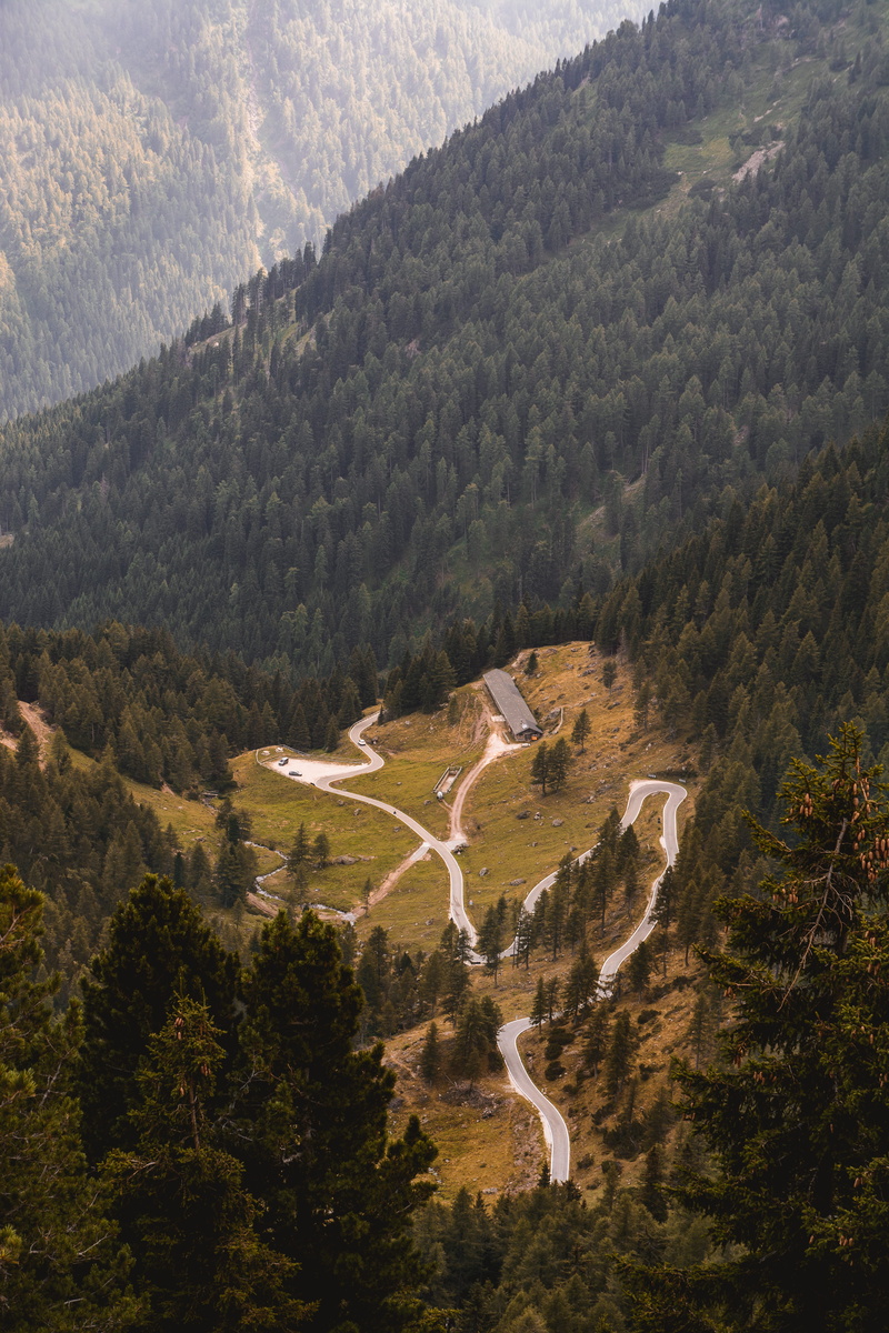 pathway, moutain, remote, alp, winding road, forest, growth, mountain, no people, woods, road, hillside, manghen, evergreen, summer, valley, surrounded
