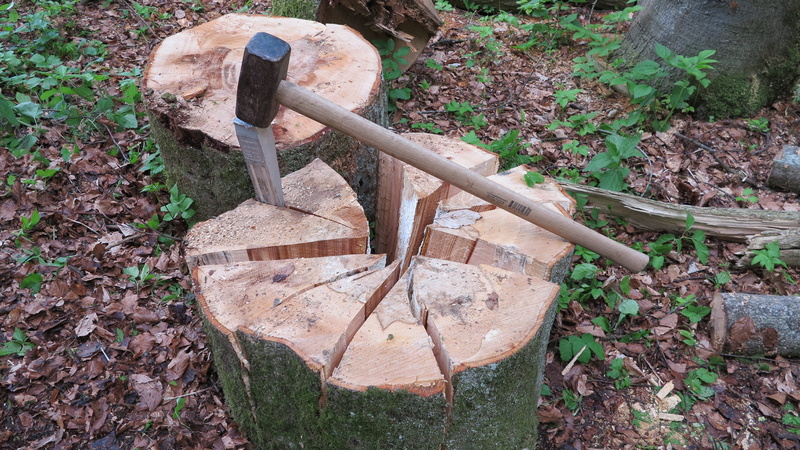 tree, land, tree segments, split wood, forest, split, work, old, nature, wedge, 4K, firewood, metal, wood chop, solid, plant, high angle view, plant part