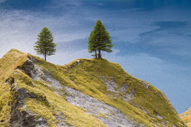 low angle view, tranquility, Lake Oeschinen, day, 4K, green color, mountain peak, no people, rock - object, coniferous tree, nature, hill, beauty in nature