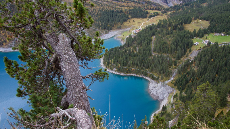 reflection, pine woodland, 5K, coniferous tree, tranquil scene, day, forest, lake oeschinen, travel destinations, outdoors, high angle view, plant, bergsee