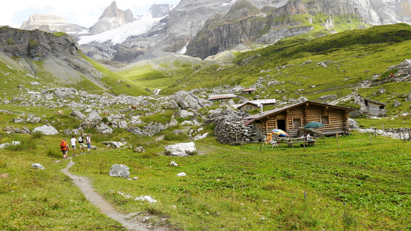 plant, architecture, field, mountain, holiday, hiking, background, environment, outdoors, beauty in nature, non-urban scene, green color, kandersteg, 4K