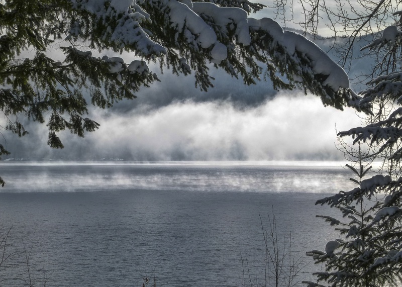 mood, weather, trees, near, beauty in nature, plant, cloud - sky, tranquility, water, waterfront, nature, power in nature, sunrise, growth, canim lake