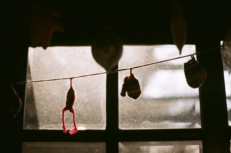 clothing, transparent, animal, nature, 2K, plant, bird, no people, fruit, cherry, tree, pendant, light, food, black, focus on foreground, icicle, sand