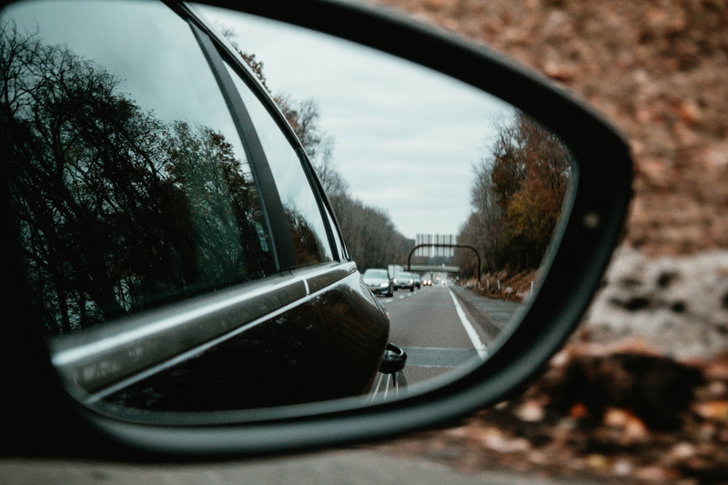 travel, land vehicle, rear-view mirror, asphalt, sky, dog, plant, grey, canine, vehicle, selective focus, mode of transportation, glass - material, day