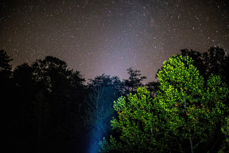 plant, astronomy, trees, flashlight, galaxies, midnight, green color, dark, nature, milky way, motion, scenics - nature, green, tree, idyllic, outdoors