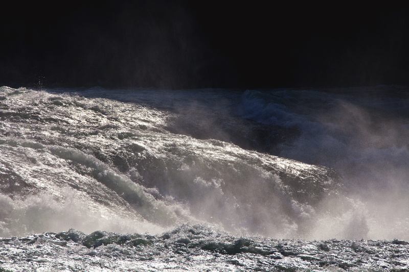 water, motion, roaring, power in nature, waterfall, sport, flowing water, nature, no people, environment, outdoors, rhine falls, flood, power, splashing