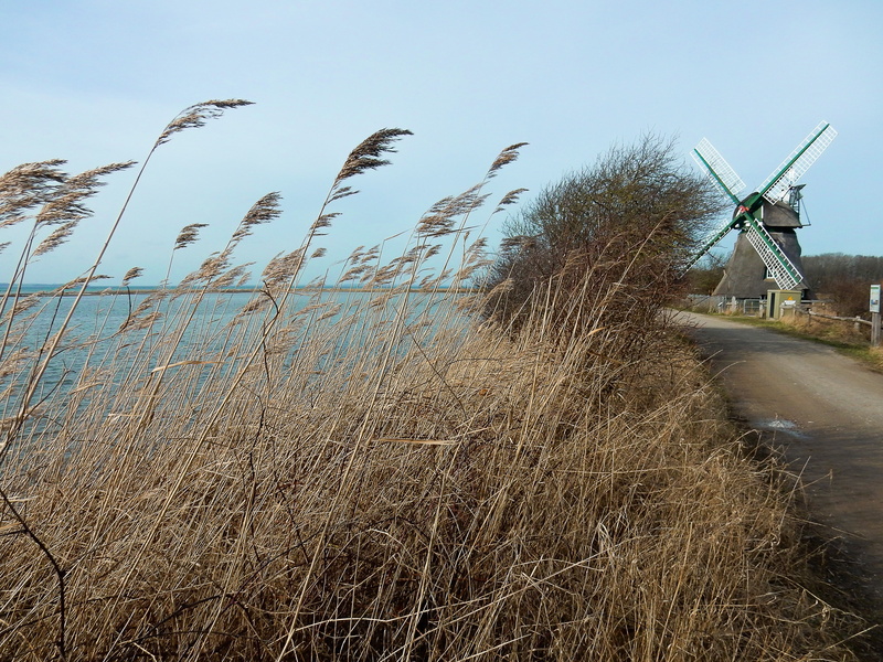 promenade, day, wind turbine, no people, mill charlotte, environment, baltic sea, 4K, wind power, fuel and power generation, growth, recovery, chill out