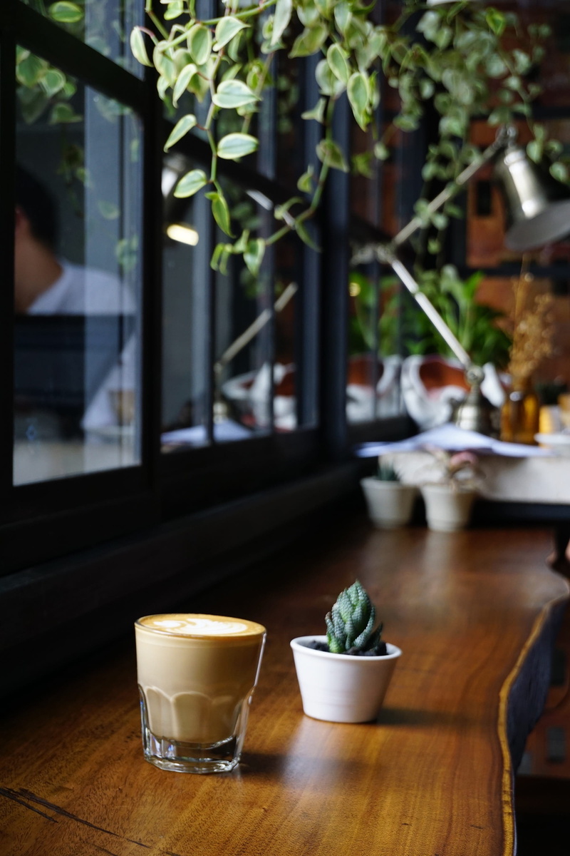 shop, herb, latte, growth, no people, focus on foreground, indoors, food, drinking glass, windows, coffee, drink, refreshment, plant, transparent, bonsai