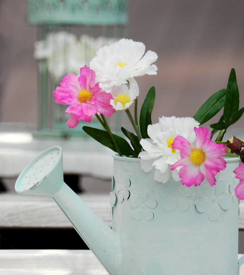 vulnerability, focus on foreground, plant, flowering plant, nature, design, background, freshness, vessel, close-up, watering, beauty in nature, plant part