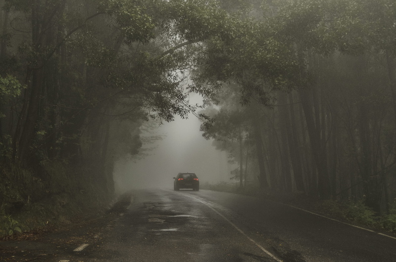 landscape, scary, woods, land vehicle, the way forward, dark, forest, sign, light, motor vehicle, fog, on the move, daylight, transportation system, land