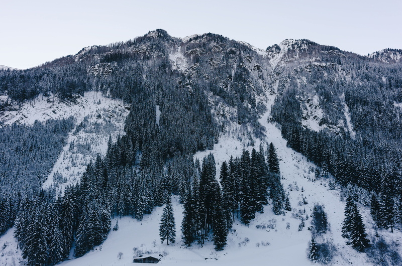 non-urban scene, mountaineering, season, pine tree, altitude, view, sunny, alpine, tranquil scene, land, tourism, tranquility, 2K, snowcapped mountain
