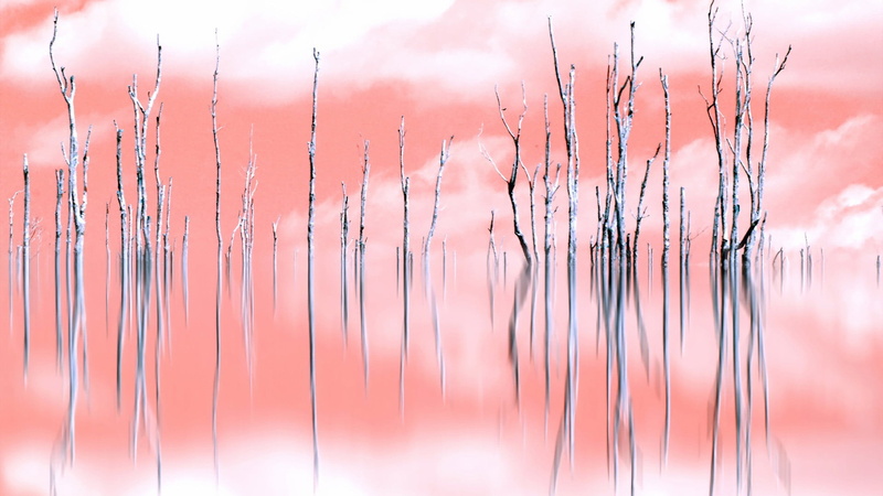 drawing, tranquility, no people, cloud - sky, symbol, clean, red, day, growth, nature, pattern, scenics - nature, bubble, smoke - physical structure, decoration