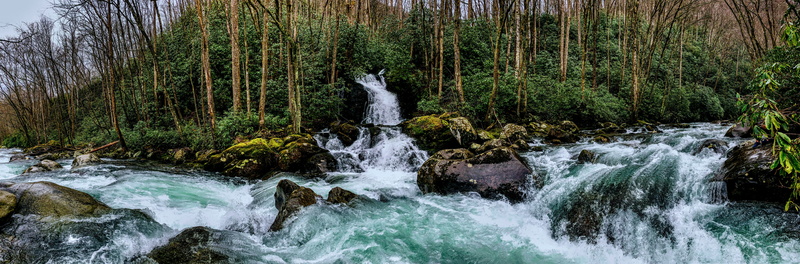 water, woodland, stream, clear, day, motion, growth, non-urban scene, scenics - nature, flowing, splashing, forest, waterfall, power in nature, clean, no people