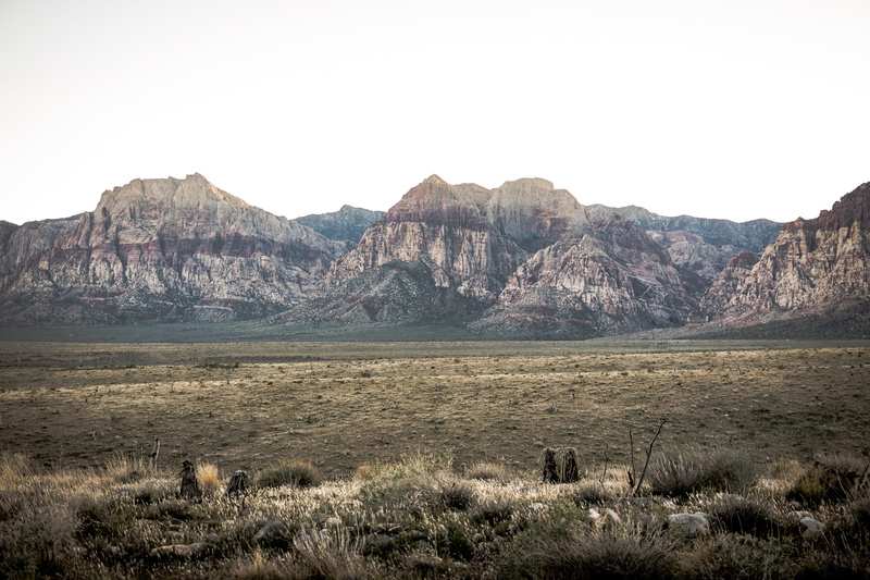 rock - object, rocks, plants, desert, formation, mountain, sky, scenics, mountains, climate, copy space, uSA, non-urban scene, rocky mountains, rock, grass