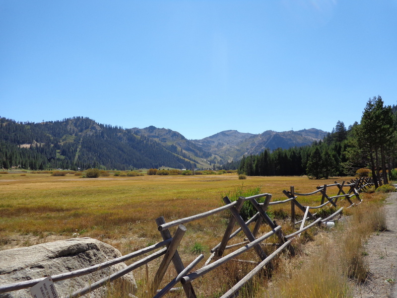 field, america, scenery, clear sky, mountain, countryside, environment, ranch, California, barrier, mountain range, tree, non-urban scene, scenics, tranquil