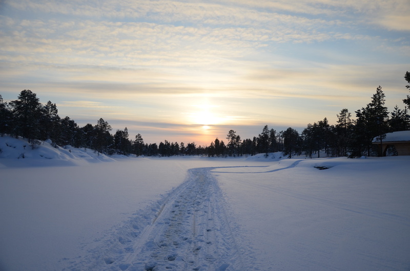 plant, beauty in nature, sky, 4K, cold temperature, ground, scenics - nature, environment, landscape, tranquility, sunset, water, panoramic, frozen, white color