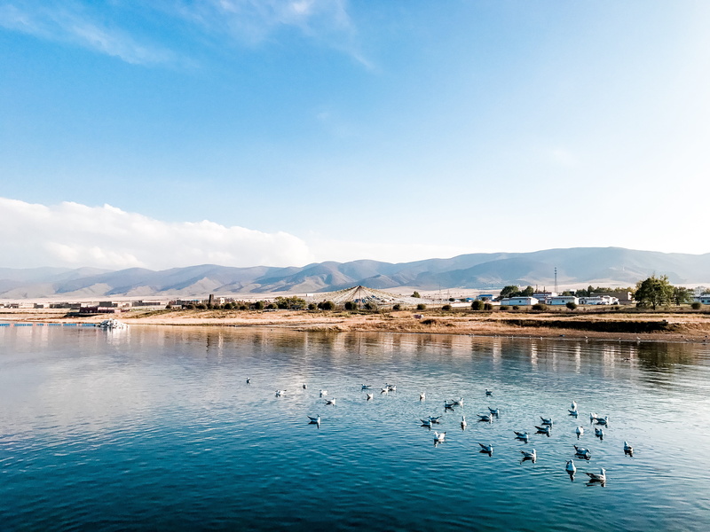 beauty in nature, blue, bird, group of animals, lagoon, nature, environment, vertebrate, 4K, animal themes, flock of birds, sky, large group of animals