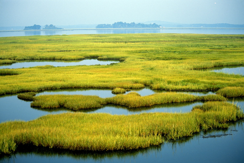 body of water, body, water, daytime, Parker River National Wildlife Refuge, green, saltwater, summer, blue, marsh, rural Scene, MA, outdoors, nature, scenics