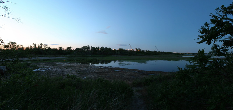 abandoned, plumb beach (gateway national recreation area), lake, beauty in nature, saltwater, reflection, plant, grass, new york, environment, united states