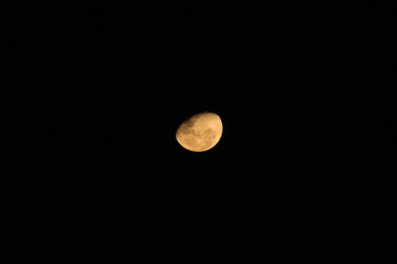 planetary moon, copy space, sky, geometric shape, scenics - nature, no people, low angle view, night, astrology, black background, astronomy, yellow moon