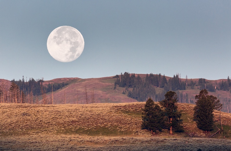 national park, space, scenic, america, orb, yellowstone, moon, wyoming, plant, circle, usa, full moon, environment, bright, night, sky, astronomy, nature